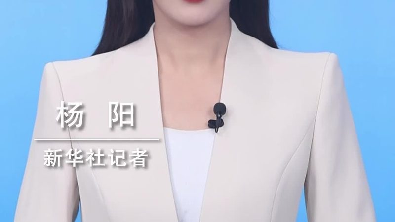 知识图谱与图数据库：揭秘企业智能化转型的核心动力